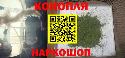 шишки Будённовск