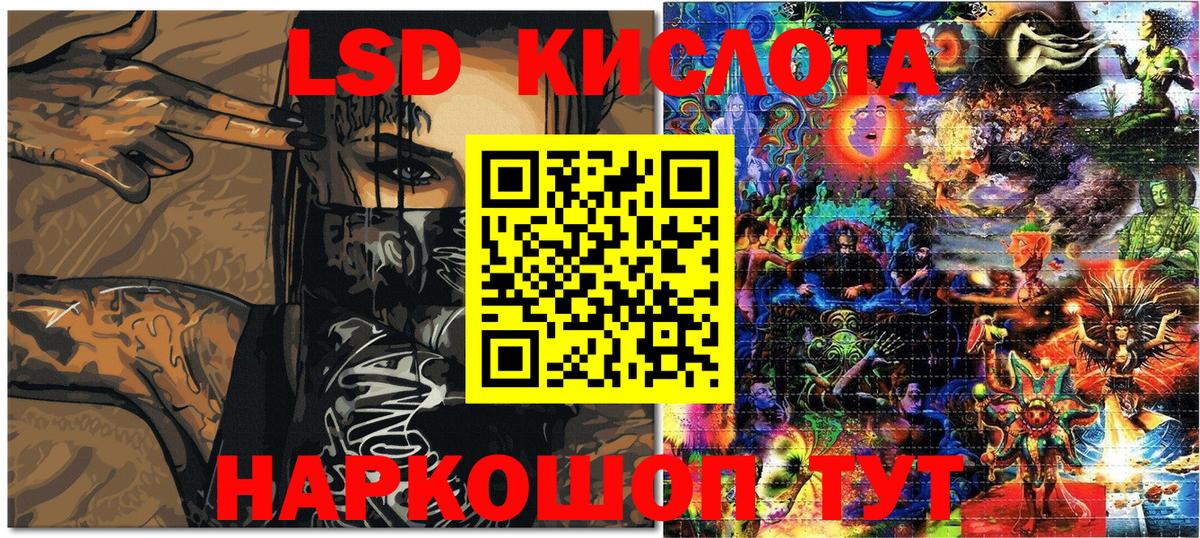 где можно купить наркотик  Наркотические марки 1,8мг  Вход с VPN  Новодвинск 