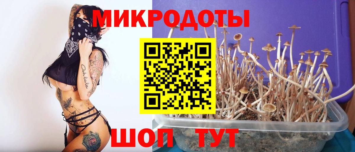 Галлюциногенные грибы GOLDEN TEACHER  Вход с VPN  Псилоцибиновые грибы мухоморы  Новодвинск 